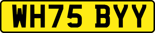 WH75BYY