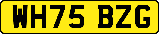 WH75BZG