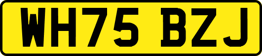 WH75BZJ