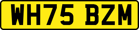 WH75BZM