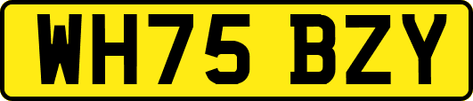 WH75BZY