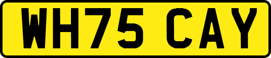 WH75CAY