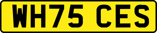 WH75CES
