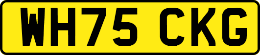WH75CKG