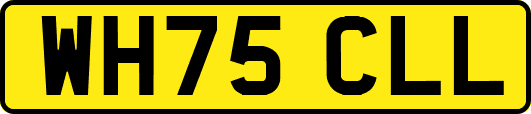 WH75CLL