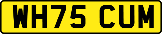 WH75CUM