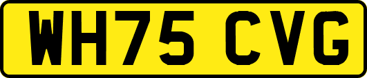 WH75CVG