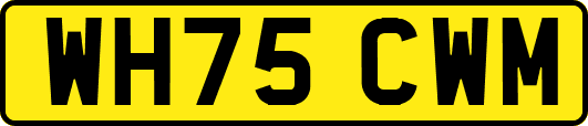 WH75CWM