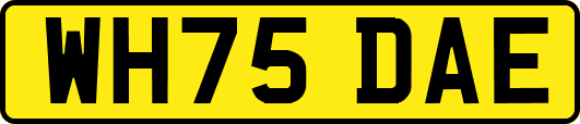 WH75DAE