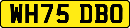 WH75DBO