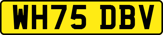 WH75DBV