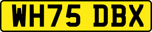 WH75DBX
