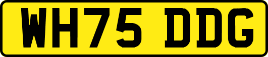 WH75DDG