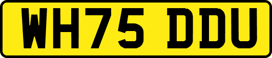 WH75DDU