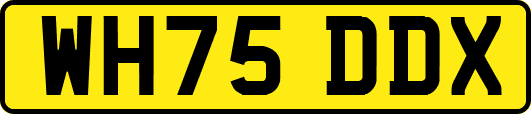 WH75DDX
