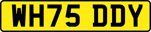 WH75DDY