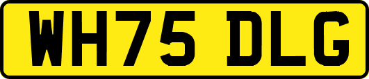 WH75DLG