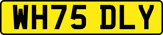 WH75DLY