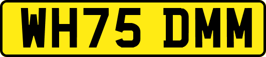 WH75DMM