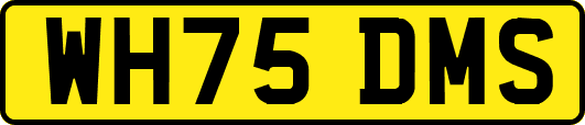WH75DMS