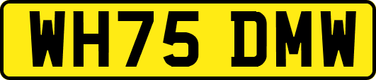 WH75DMW