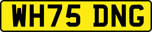 WH75DNG