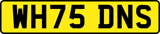 WH75DNS