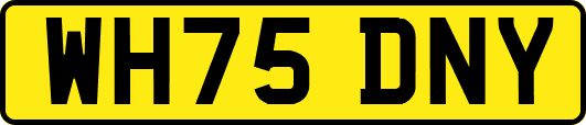 WH75DNY