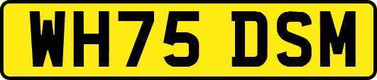 WH75DSM