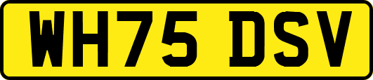 WH75DSV