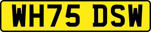 WH75DSW