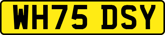 WH75DSY