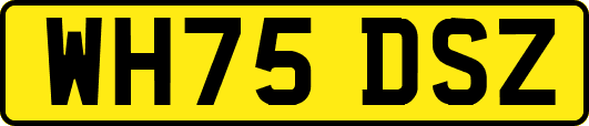 WH75DSZ