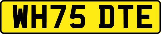 WH75DTE
