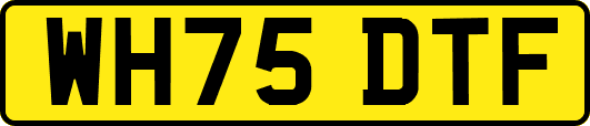 WH75DTF