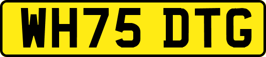 WH75DTG