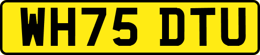 WH75DTU