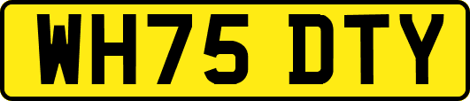 WH75DTY