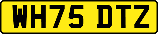 WH75DTZ