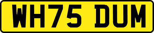 WH75DUM