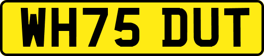 WH75DUT