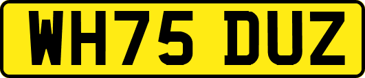 WH75DUZ