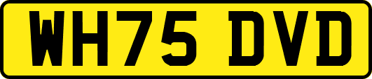 WH75DVD