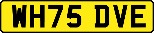 WH75DVE