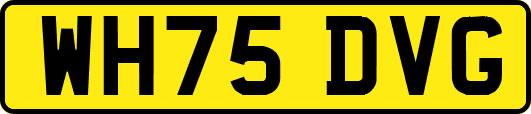 WH75DVG
