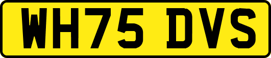 WH75DVS