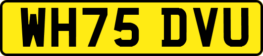 WH75DVU