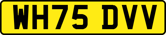 WH75DVV