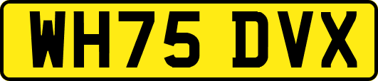 WH75DVX