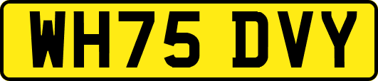 WH75DVY